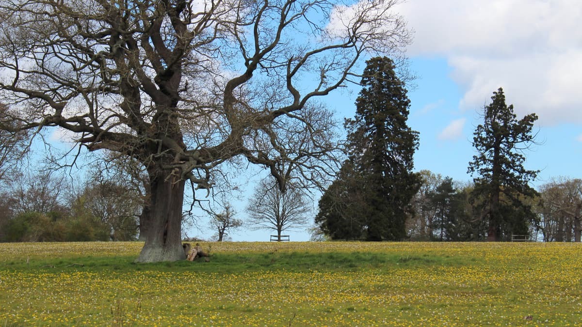 Blickling-Hall-Stile-Free-Slide-2.jpg#asset:2569