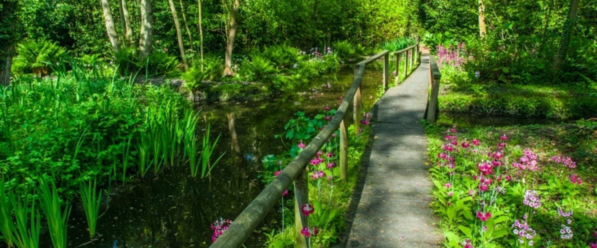 Top 5 Norfolk gardens Top 5 Things To Do Norfolk Passport